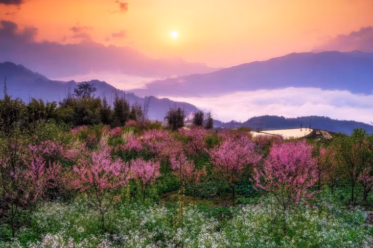 Vietnam’s spring colors dazzle in annual Tet photo contest ảnh 11 Vietnam’s spring colors dazzle in annual Tet photo contest