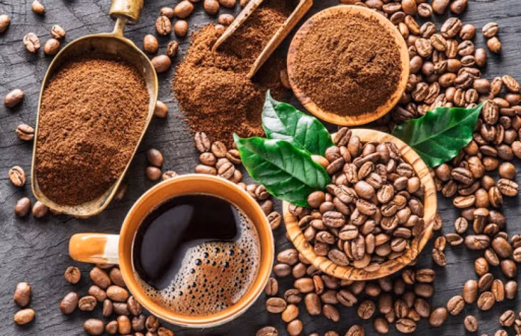 Vietnamese coffee exports to Germany anticipated to see recovery ảnh 1 Vietnamese coffee exports to Germany anticipated to see recovery ảnh 1