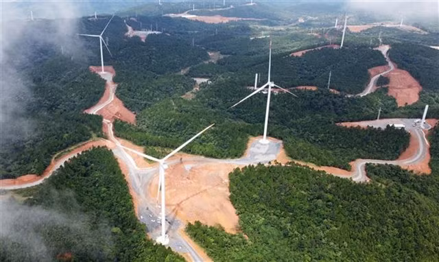 A "field" of wind turbines in Hướng Hóa District, the central province of Quảng Trị. — VNA/VNS Photo Hồ Cầu
