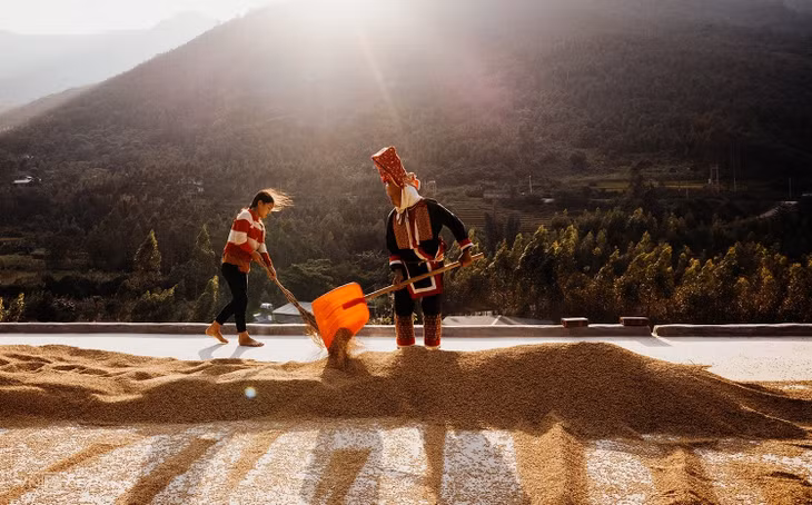 The Dao add cultural colors, flavors to northern mountains