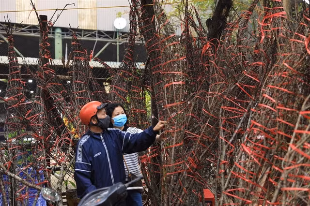 Local people at a flower market wrap up as temperatures drop in Hà Nội on Monday. — VNA/VNS Photo Hoàng Hiếu