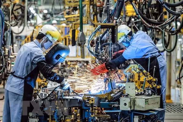 European business leaders are more confident about the prospects of their own enterprises in this post-pandemic ‘new normal’ in Việt Nam. — VNA/VNS Photo