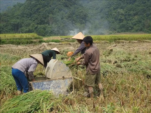 Viet Nam to allocate nearly US$ 84 bln for new-style rural development ảnh 1