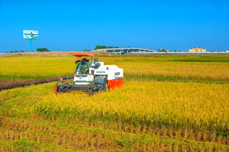 Industrial agriculture. Photo: Nguyen Long Giang