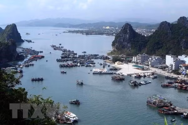 A view of part of Bai Tu Long Bay (Photo: VNA)
