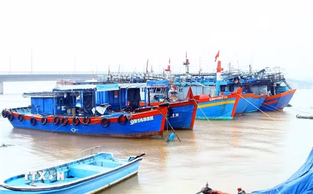 Party Central Committee's Secretariat demands enhancing IUU fishing combat hinh anh 1
