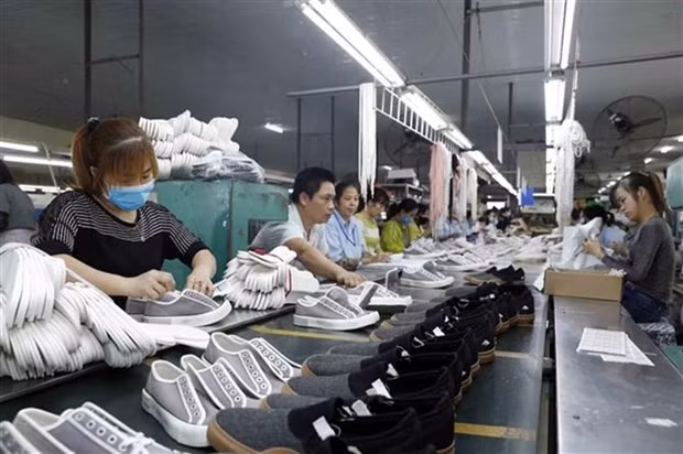 Vietnam remains world's second-largest footwear exporter in February hinh anh 1