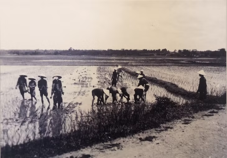 Mid-20th century Vietnam through Ukrainian photographer's lenses