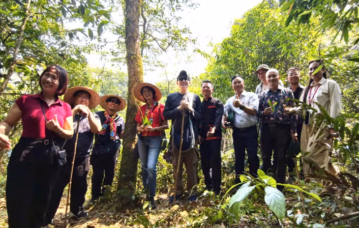 Experts and local villagers pose for a commemorative photo under ancient tea trees.
