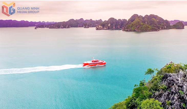 The breathtaking scenery and unspoiled nature of Bai Tu Long serve as precious assets for creating outstanding and differentiated tourism experiences.