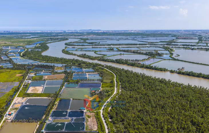 Bờ sông uốn lượn mềm mại quanh đảo, tạo nên nét đẹp thơ mộng và đầy chất trữ tình cho vùng đất ven biển Quảng Yên.