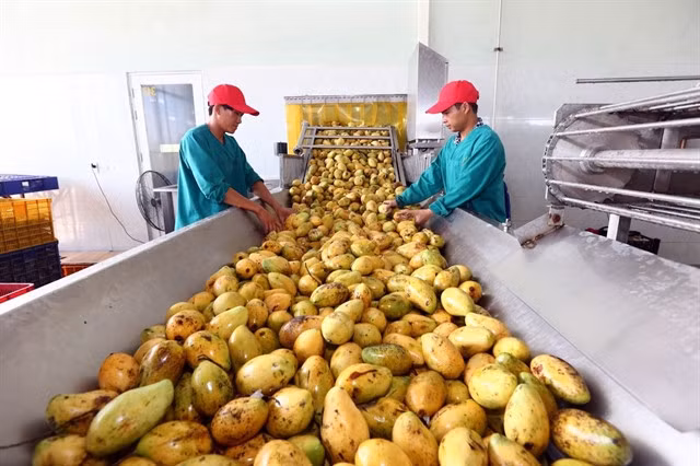 The food industry was one among key industries prioritised by the Government to 2025. — VNA/VNS Photo Danh Lam