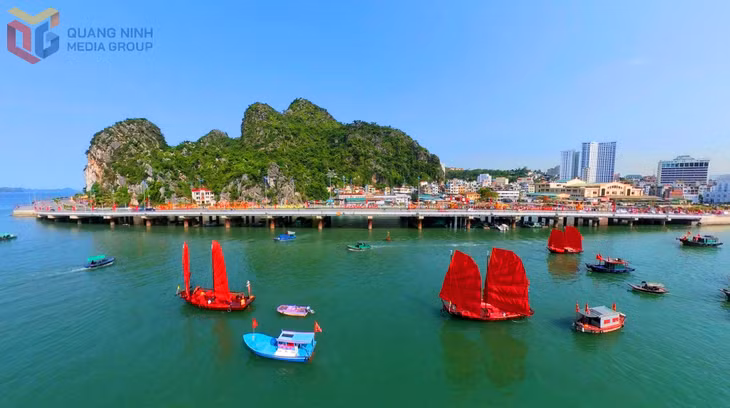 The traditional three-panel sailing boats follow a route showcasing the familiar coastal scenery of Ha Long Bay.