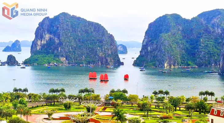 Traditional three-panel sailing boats cruise on Ha Long Bay.