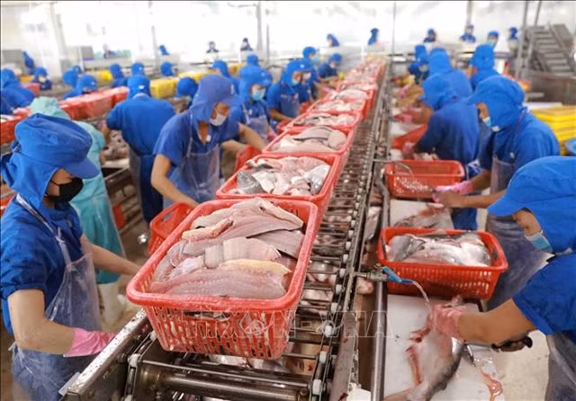 A seafood plant run by a private company in Đồng Tháp. Resolution 68 is a landmark directive designed to elevate the status of the private economic sector as "the most important driving force of the national economy." — VNA/VNS Photo Vũ Sinh