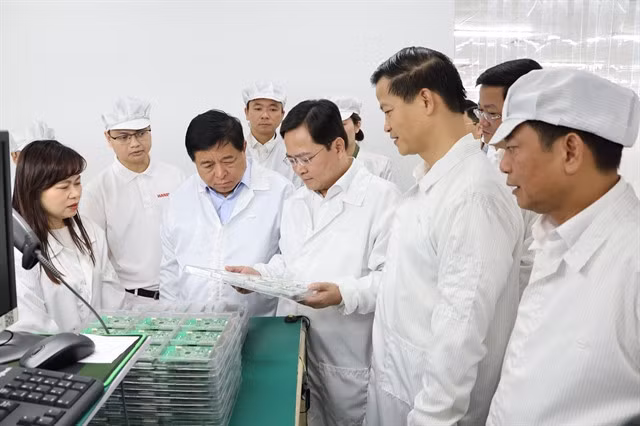Deputy Prime Minister Nguyễn Chí Dũng (third from left) and Bắc Ninh provincial leaders visit the production line at Hanel Production, Processing and Import-Export Joint Stock Company (Hanel PT) in Tiên Sơn Industrial Park, Bắc Ninh Province. — VNA/VNS Photo