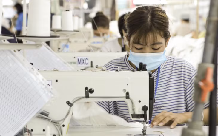 A worker works at a garment factory in Vietnam. Photo: Ha Quan / Tuoi Tre