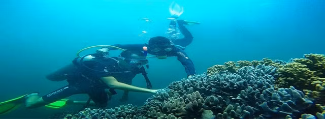 Tourists enjoy a diving tour service on the Chàm Islands, off the coast of Hội An ancient city. The world biosphere reserve site is one of the most visited sites in central Việt Nam with its pristine beaches and clean environment. Photo courtesy of Lê Xuân Ái