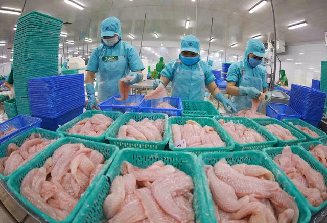 A seafood processing plant. The country's seafood exports hit $10.14 billion in 11 months, up 27 per cent year-on-year. — VNA/VNS Photo Vũ Sinh