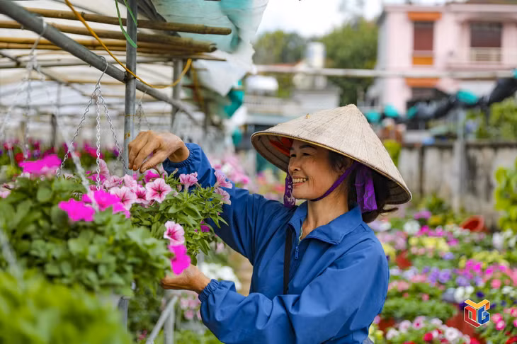 The village enters the period when the flowers bloom most brightly.