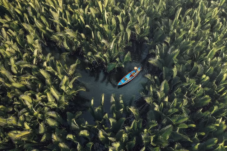 A person rows a small boat in the middle of a nipa palm forest in Tinh Khe District, Quang Ngai Province. Photo by Cao Ky Nhan