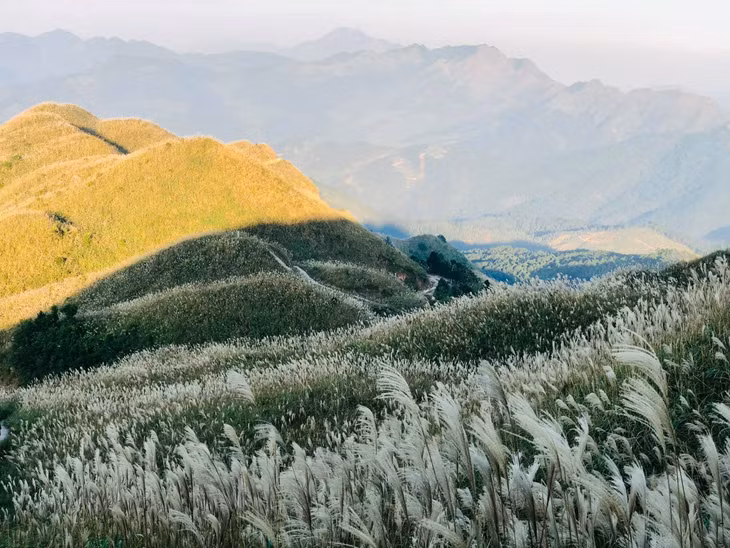 aaa