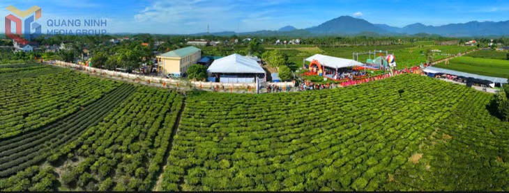 A marathon around the tea hills will be held in Duong Hoa Cuong Village.