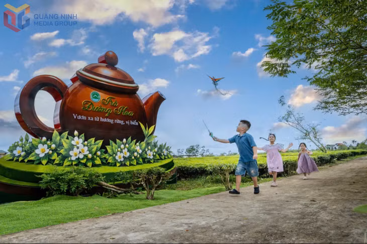 At the festival, the Duong Hoa Commune People’s Committee receives the certificate recognising the tea trees as Vietnamese Heritage Trees.