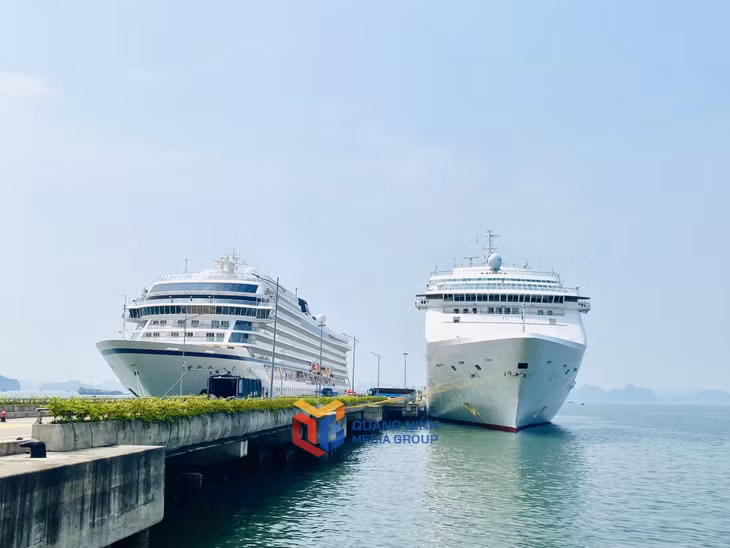 Two cruise ships dock at Ha Long International Cruise Port.