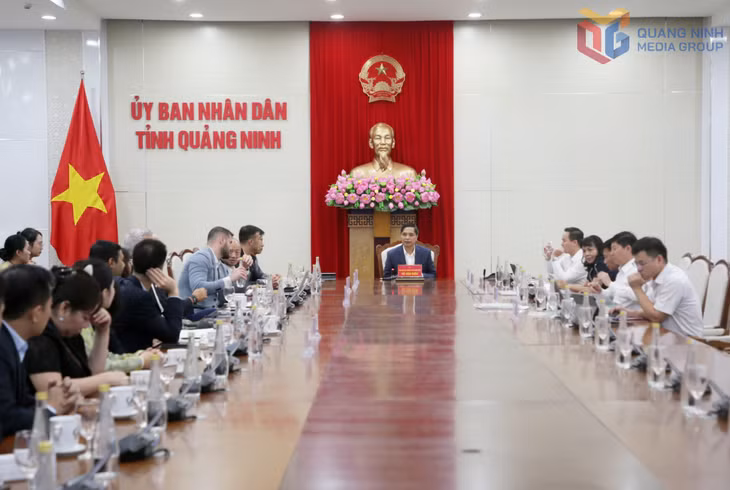 Standing Vice Chairman of the Provincial People’s Committee Vu Van Dien chairs the working session.