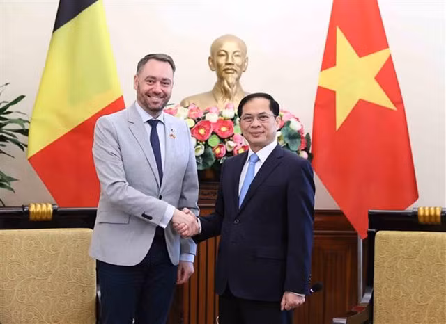 Deputy Prime Minister and Minister of Foreign Affairs Bùi Thanh Sơn meets with Belgian Deputy Prime Minister and Minister of Foreign Affairs, European Affairs, and Development Cooperation Maxime Prevot. — VNA/VNS Photo