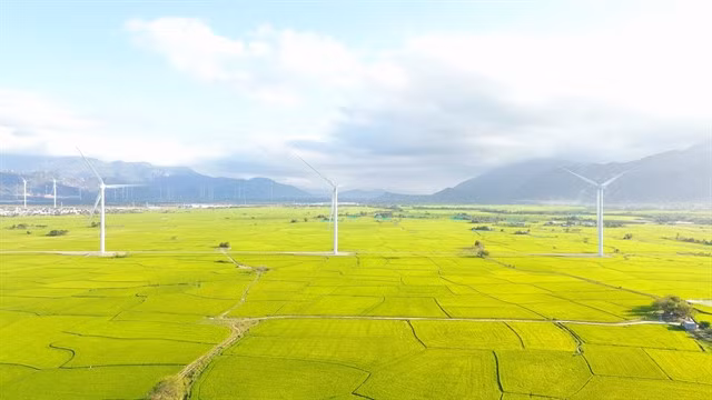 A view of the Đầm Nại wind farm spanning nearly ten hectares across Thuận Bắc and Ninh Hải districts in Ninh Thuận Province. The renewable energy sector is the main recipient of green finance in Việt Nam.VNA/VNS Photo