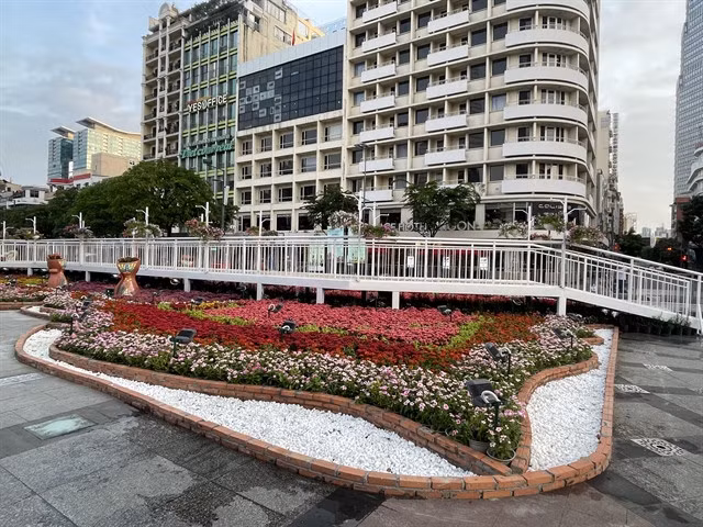 The wooden bridge crossing a flower bed. VNS Photo Xuân Đăng