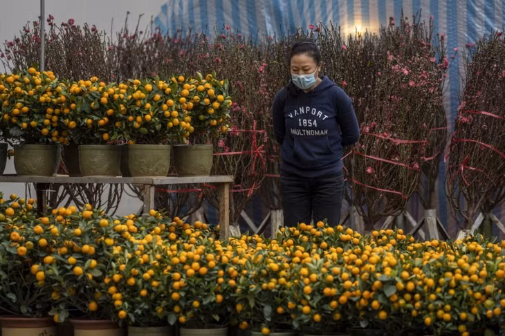World celebrates Lunar New Year 2023