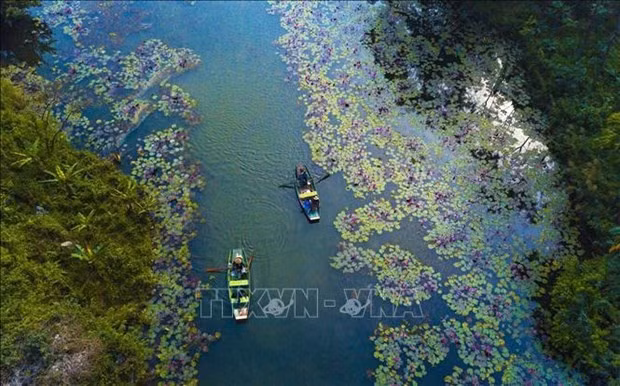 Vietnam expects to complete a survey of wetlands nationwide and build a database on the wetlands by 2025. (Photo: VNA)