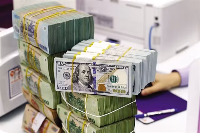 The Việt Nam’s interbank exchange rate has increased beyond the SBV’s intervention price and closed at VNĐ25,453 per dollar after Fed's latest meeting last week. Photo cafef.vn