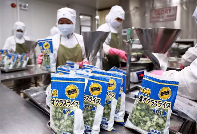 Processed vegetable products exported to Japan. The agriculture sector's export value is expected to reach a historic high of $62.4 billion this year. — VNA/VNS Photo