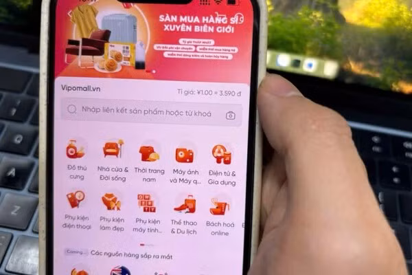 Viet Nam launches first cross-border wholesale e-commerce platform ảnh 1