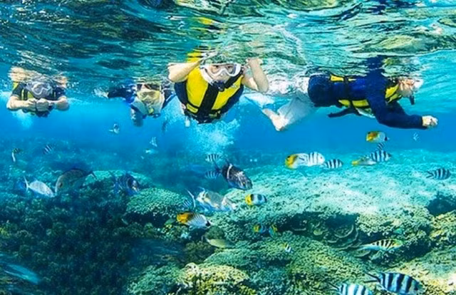 Viet Nam to efficiently manage 27 maritime protected areas - Ảnh 1.