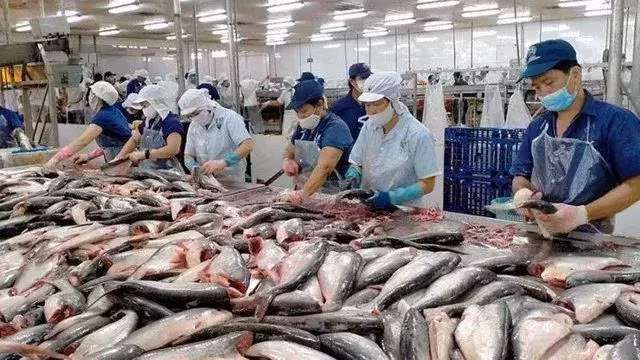 Fishery export sustains momentum during January-May. (Photo: VNA)