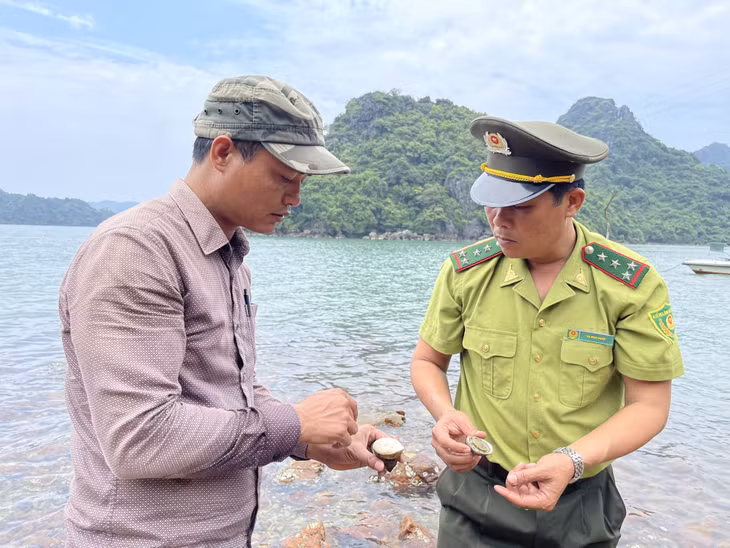 With such biodiverse treasures, the management and protection of natural resources and the environment have been named the leading tasks in Bai Tu Long National Park.