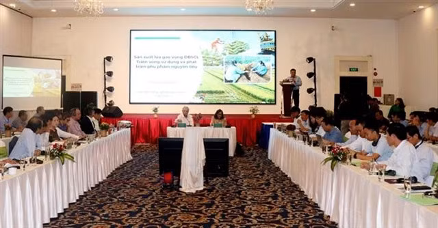 Delegates attend the workshop in Cần Thơ. — VNA/VNS Photo