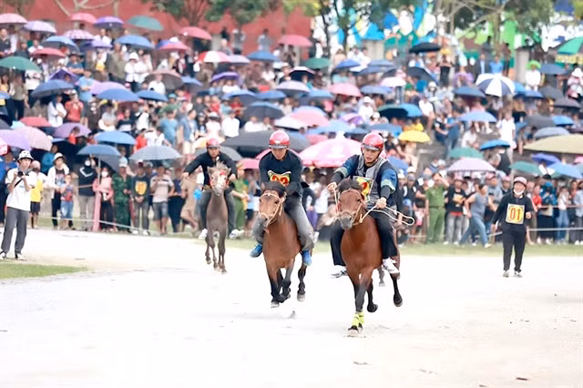 The Bắc Hà traditional horse race this year attracted 86 riders from districts across Lào Cai Province. Photo baophapluat.vn