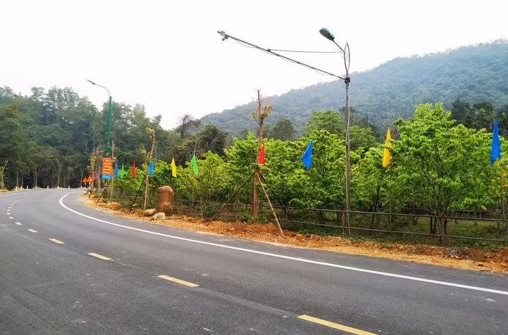 The 10-km road from National Highway 18 to Yen Tu mountain has many apricot gardens multiplied from “perennial apricot trees”.