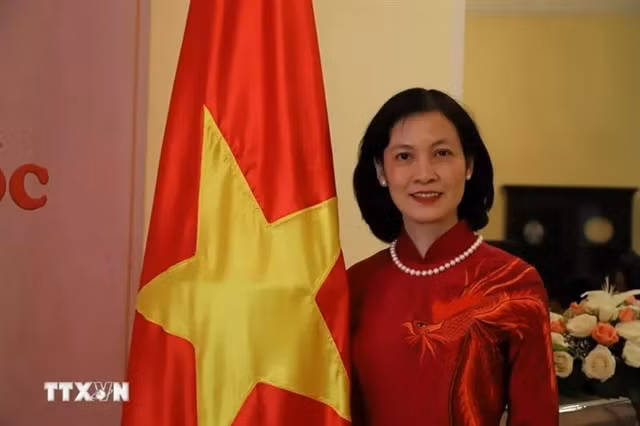 ietnamese Ambassador to Morocco and Guinea-Bissau Lê Kim Quy. VNA/VNS Photo