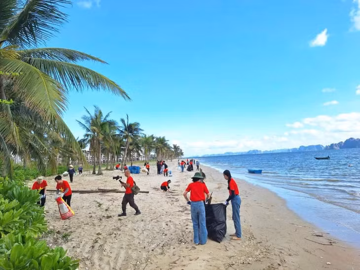 Vollunteers collected garbage along the coast.