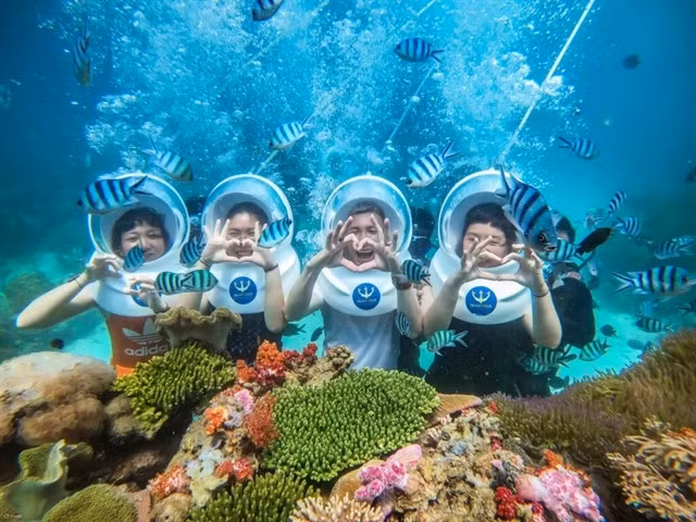 Diving to discover Phú Quốc Island’s coral reefs is an experience tourists won't want to miss. — Photo khaihoanphuquoc.com.vn