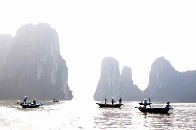 Employees from tourist businesses operating on Hạ Long Bay participated in the cleanup of Hạ Long Bay. — VNA/VNS Photo Thanh Vân