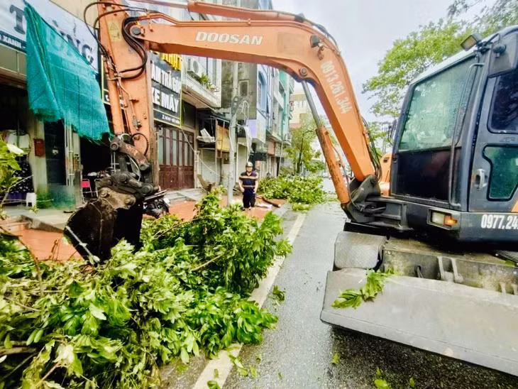 Ha Long city: Authorities, residents pitch in to clean up typhoon damage ảnh 9 Ha Long city: Authorities, residents pitch in to clean up typhoon damage ảnh 9