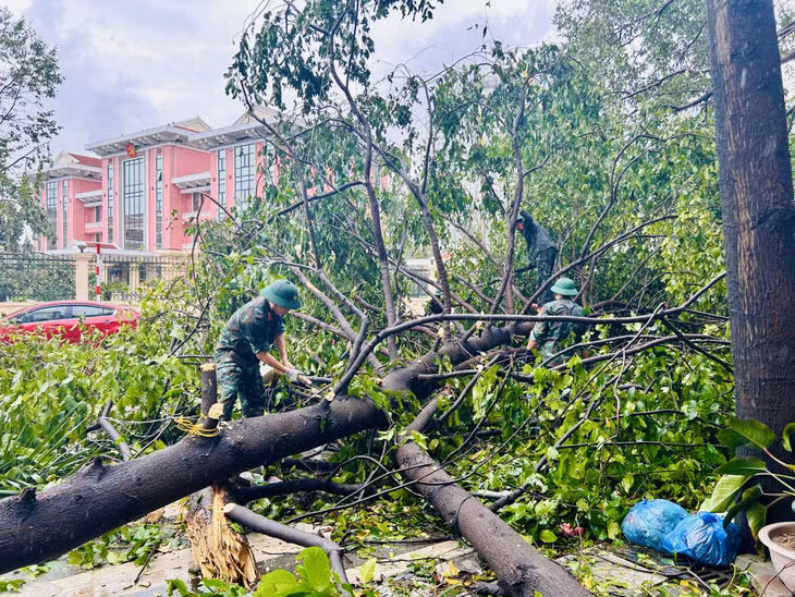 Military force and residents have been working together to remove fallen trees.